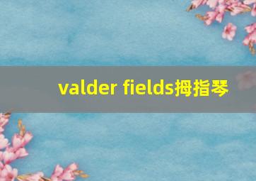 valder fields拇指琴